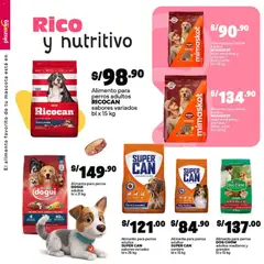 Vista previa de folleto Catálogo Plaza Vea - Especial Mascotas N4 de la Plaza Vea válido desde 01/09/2026 | Página: 4