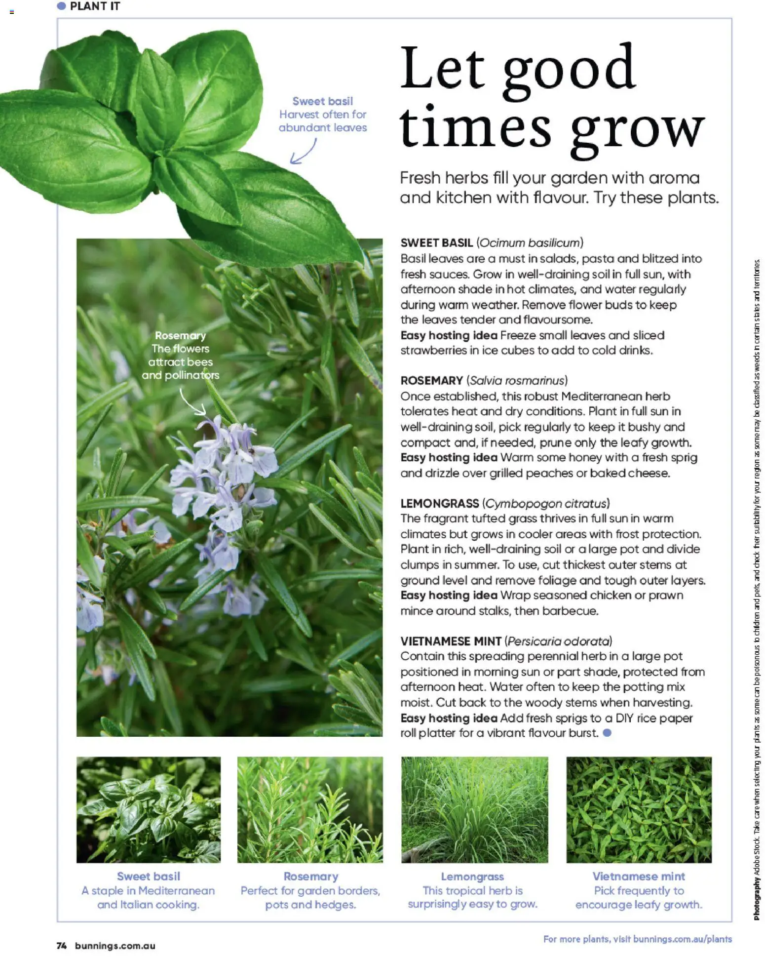 Bunnings Warehouse catalogue - valid from 01/11/2026 | Page: 74