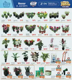 Supermercados Condor ofertas Campanha Solidária - Pré-Visualização do folheto da loja Supermercados Condor, válido de 10/08/2026 | Página: 26 | Produtos: Orquídea, Aparador, Vaso, Gerbera