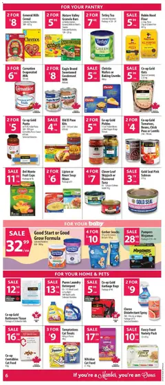 Preview of Co-op Food weekly flyer / circulaire from shop Co-op Food valid from Jul 9, 2026 | Page: 12 | Products: Tea, Salad, Detergent, Chicken