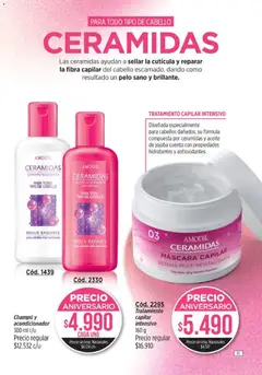Vista previa Amodil - Campaña 10 válido desde el 01.06.2026 | Página: 91 | Productos: Aceite, Máscara, Champú, Brillo