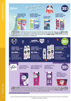 Vista previa Pigmento - Golazo de ofertas válido desde el 02.06.2026 | Página: 18 | Productos: Desinfectante, Inodoro, Aceite, Canasta