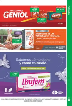 Vista previa Farmacity catálogo válido desde el 02.06.2026 | Página: 91 | Productos: Pincel, Analgésico, Antiinflamatorio