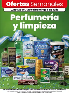 Vista previa Coto - Perfumería y limpieza válido desde el 29/06/2026