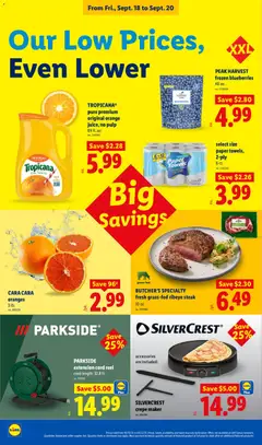 Preview of Lidl weekly ads valid from 09/16/2026 | Page: 24