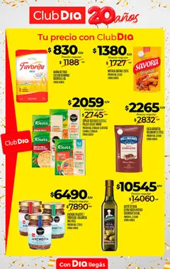 Vista previa Supermercado DIA Ofertas válido desde el 09/09/2026 | Página: 26