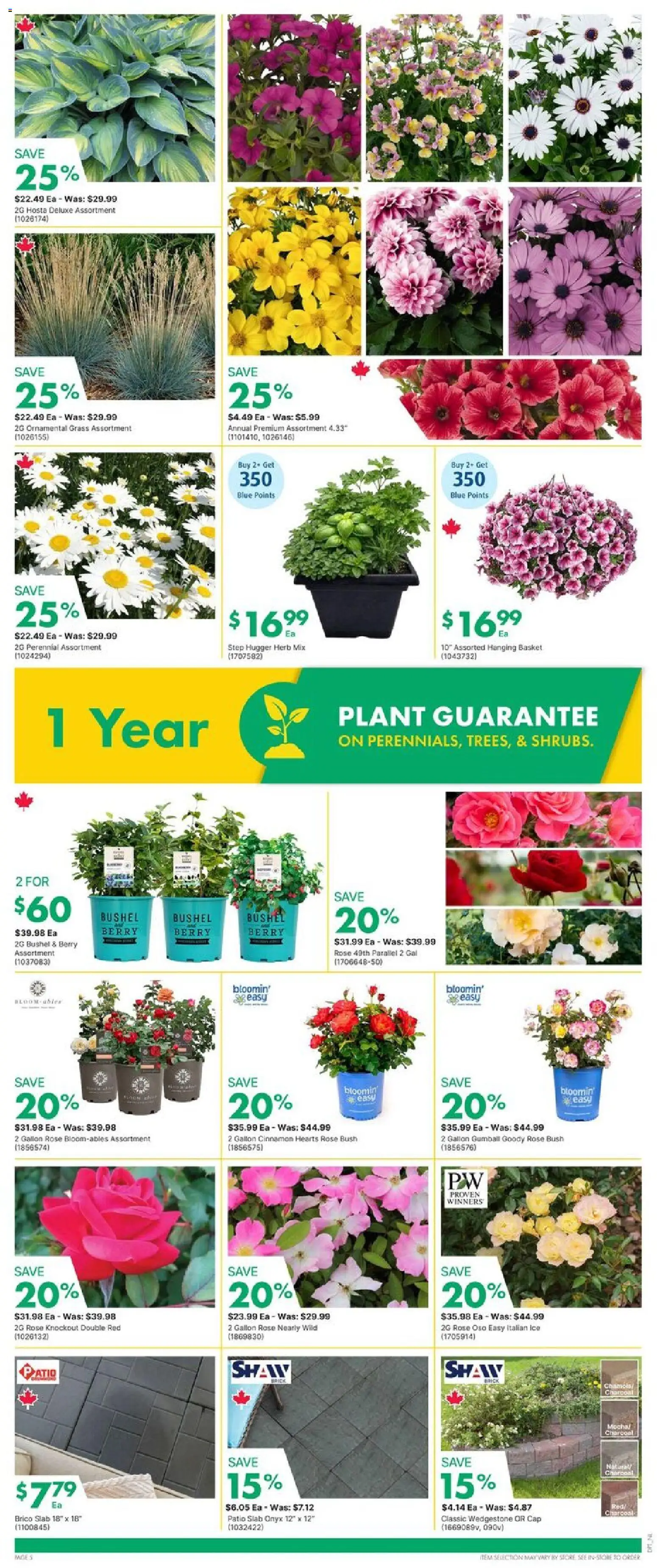 Kent flyer valid from 11.06.2026 | Page: 5 | Products: Cap, Basket