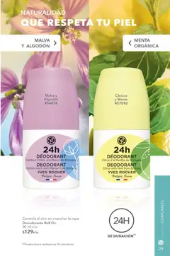 Vista previa de Yves Rocher campaña 11 2026, nuevo folleto de la tienda, válido en México a partir del 04/08/2026 | Página: 31