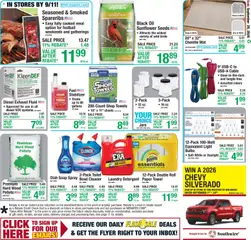 Preview of Menards weekly ads valid from 09/10/2026 | Page: 21 | Products: Soap, Detergent, Sunflower seeds, LED light
