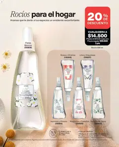 Avon catálogo Ciclo 10 -  Vista previa de la revista de la tienda Avon valido desde el 15/06/2026 | Página: 176 | Productos: Fresas