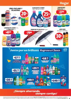 Vista previa de Farmacia Guadalajara catálogo, nuevo folleto de la tienda, válido en México a partir del 01/08/2026 | Página: 11 | Productos: Agua, Limpiador, Cocina, Cloro