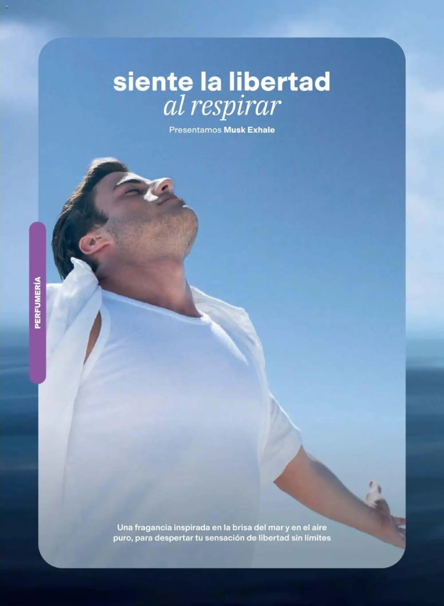 Nuevas ofertas de AVON válidas en toda la República Mexicana desde el 10/07/2026. ¡Encuentra las mejores ofertas en AVON campaña 11 2026! | Página: 79 | Productos: Fragancia