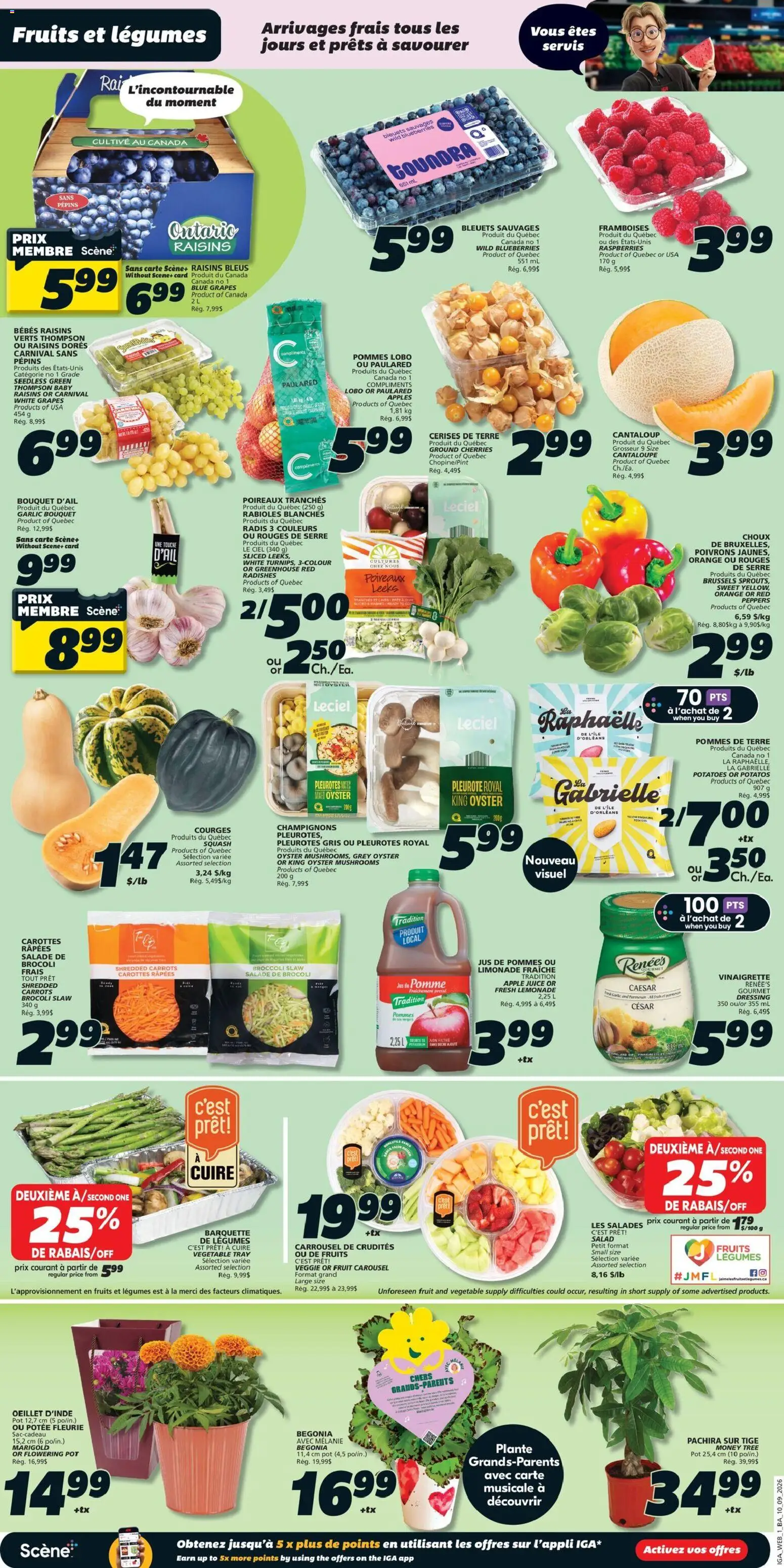 IGA flyer valid from Sep 10, 2026 | Page: 4