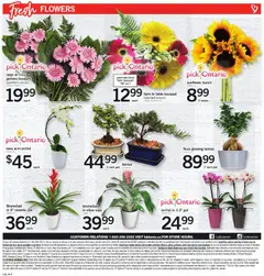 Preview of Loblaws flyer - ON from shop Loblaws valid from Jul 9, 2026 | Page: 8 | Products: PC, Table, Vase