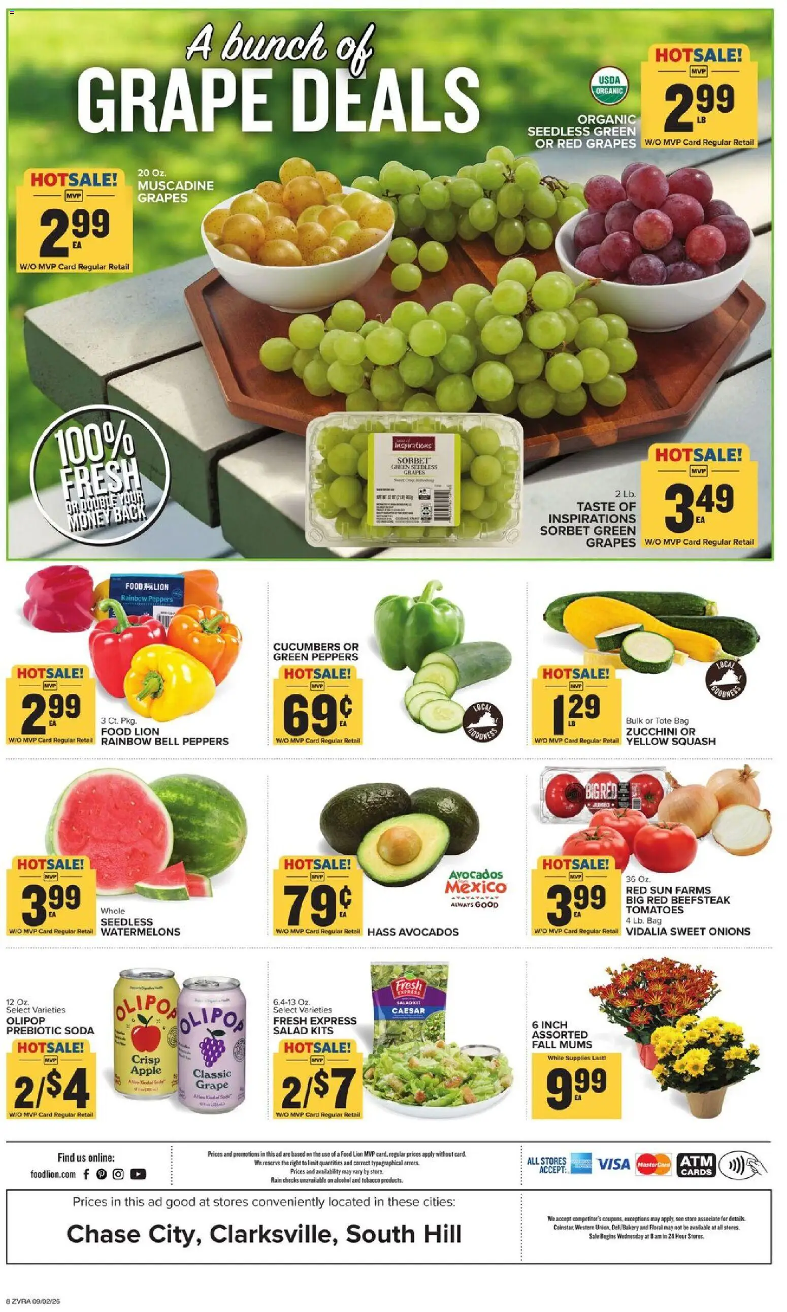 Food Lion Weekly Ad - valid from 09/02/2026 | Page: 3 | Products: Peppers, Zucchini, Cucumbers, Salad