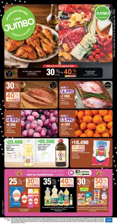 Jumbo catálogo todos los dias -  Vista previa de la revista de la tienda Jumbo valido desde el 28/08/2026
