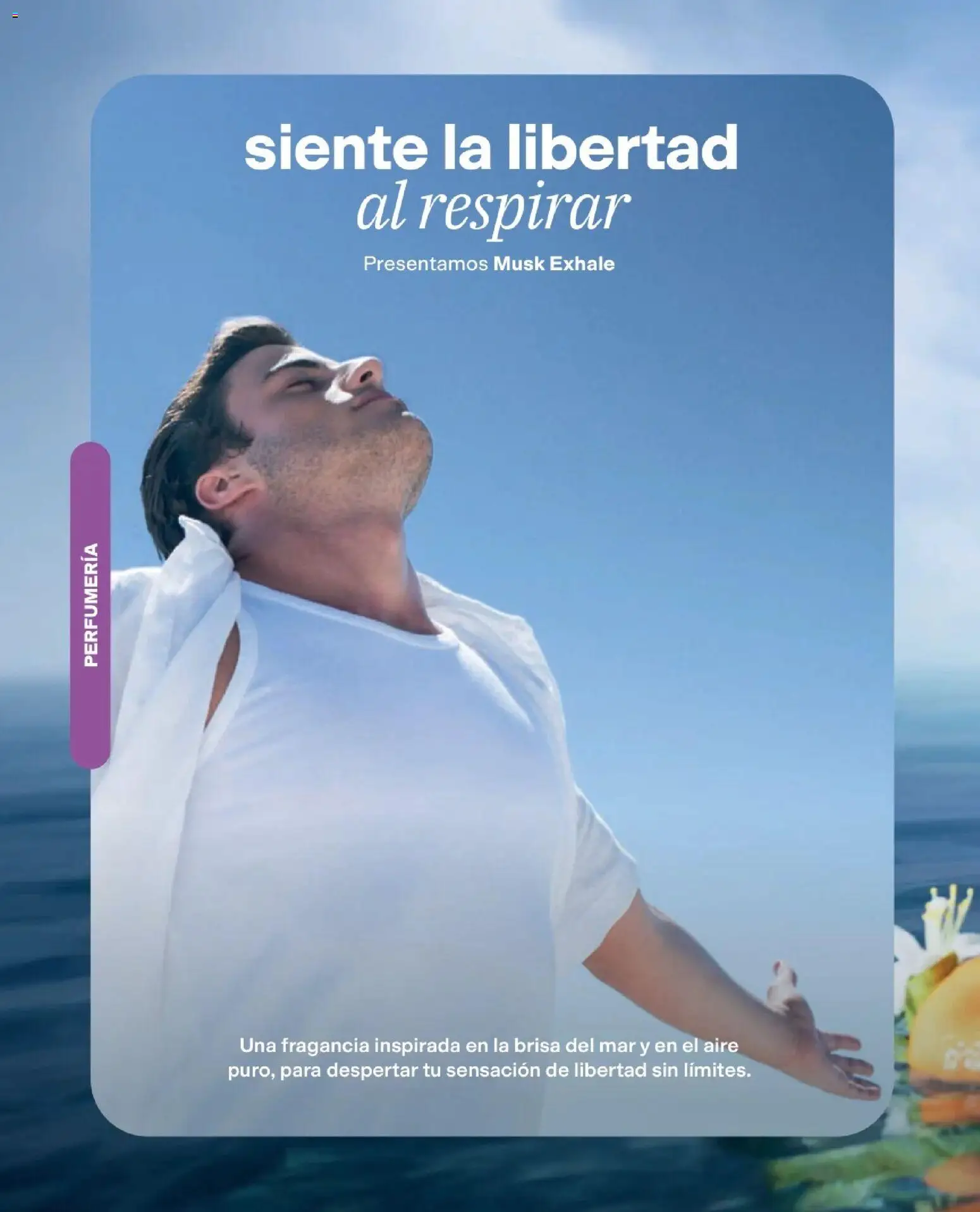 Avon revista - valida desde el 15/07/2026 | Página: 209 | Productos: Fragancia