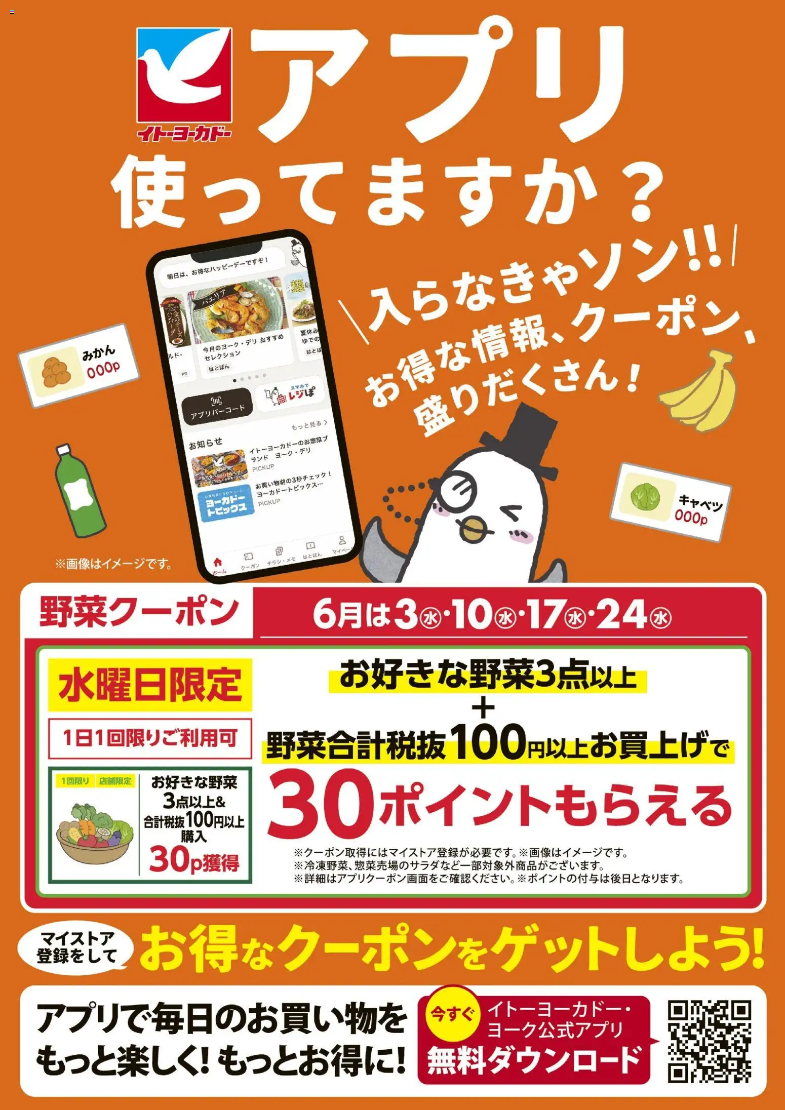 {H1} | ページ: 2 | 製品: キャベツ