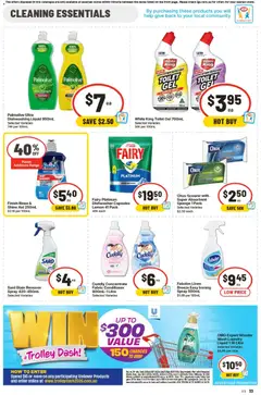 Preview of Ritchies catalogue - valid from 19/08/2026 | Page: 30 | Products: Toilet, Linen, Stain remover, Dishwasher