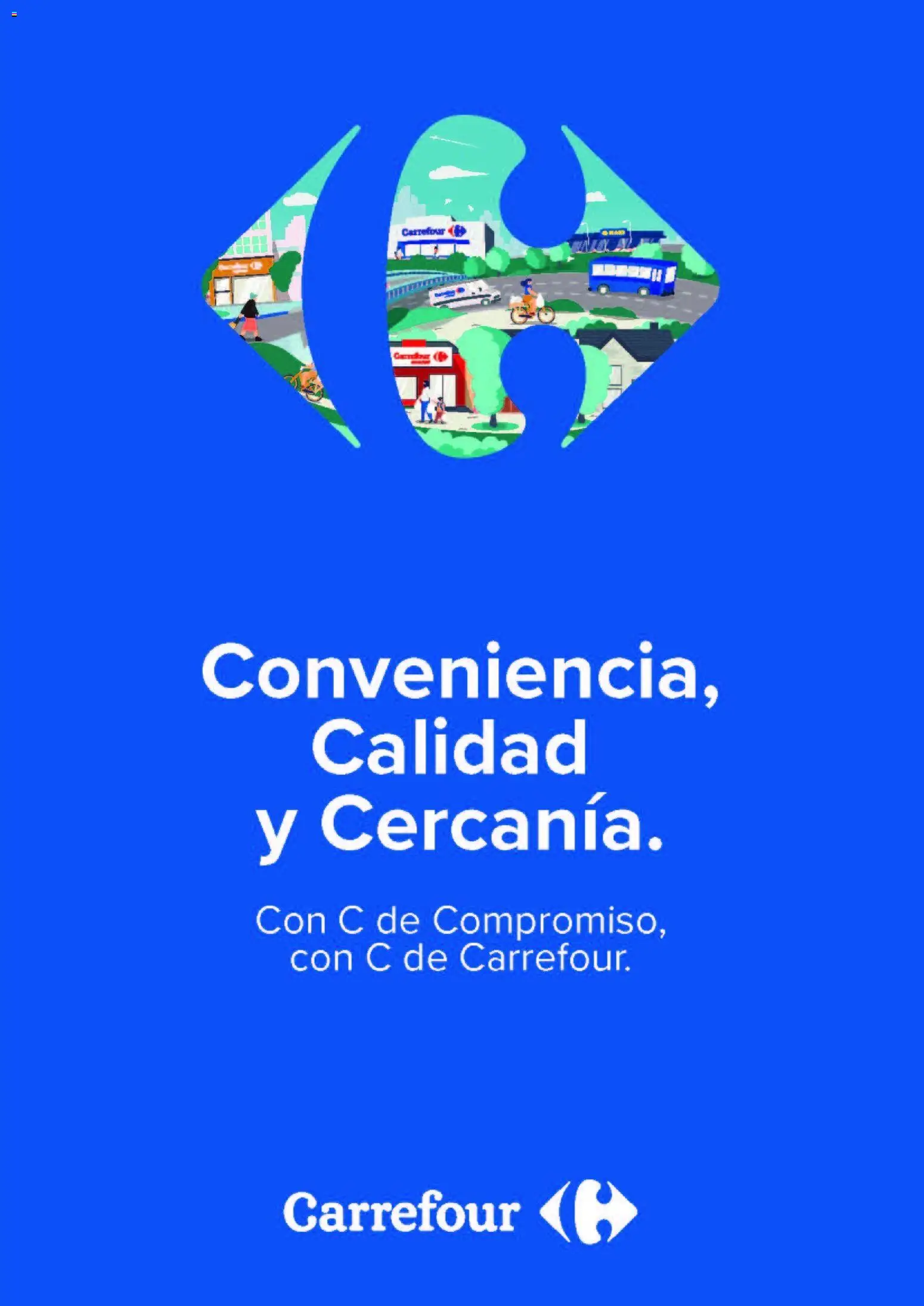 Carrefour ofertas │ válido desde el 09.06.2026 | Página: 66