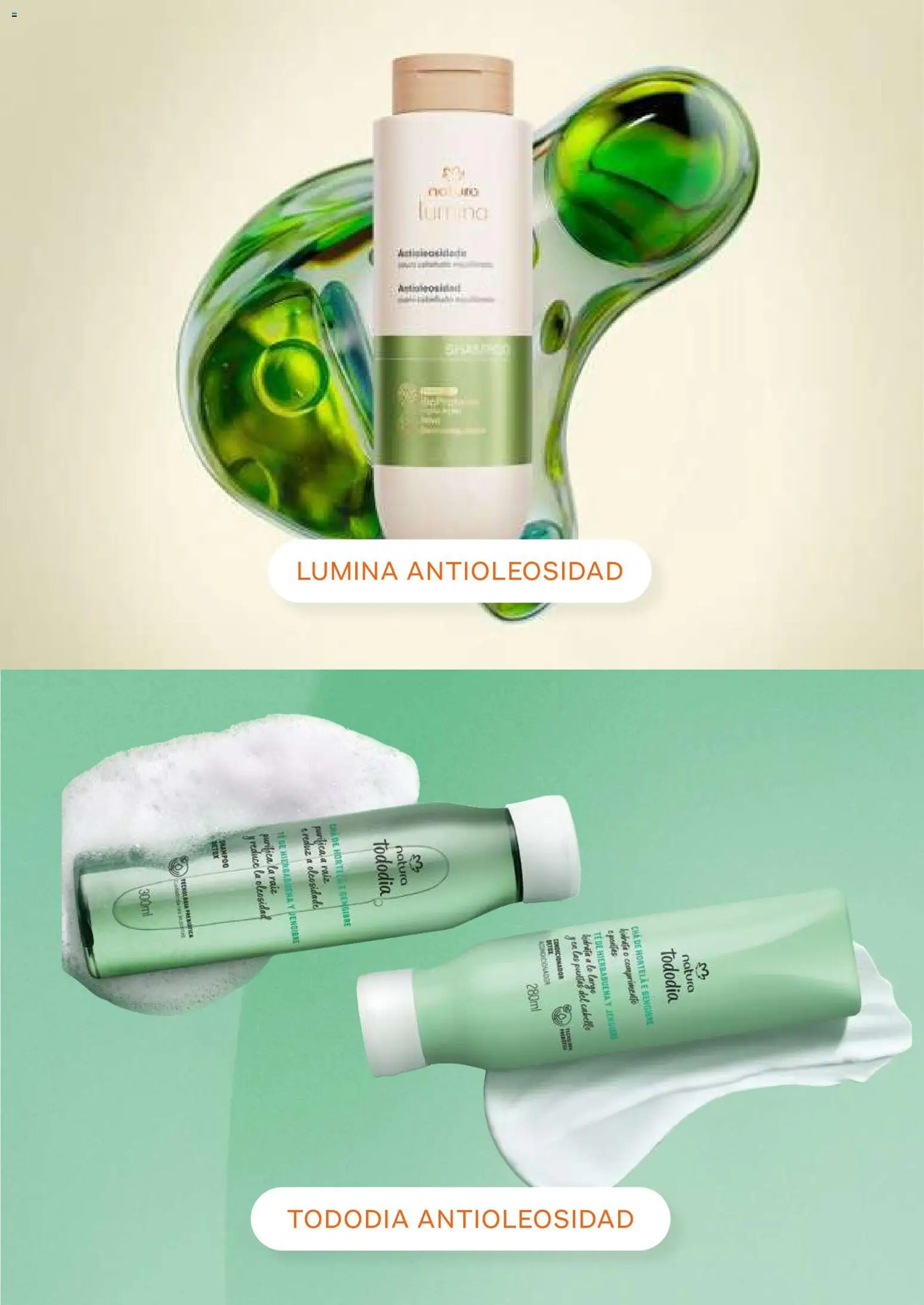 Natura revista - valida desde el 13/08/2026 | Página: 21 | Productos: Té, Jengibre, Shampoo