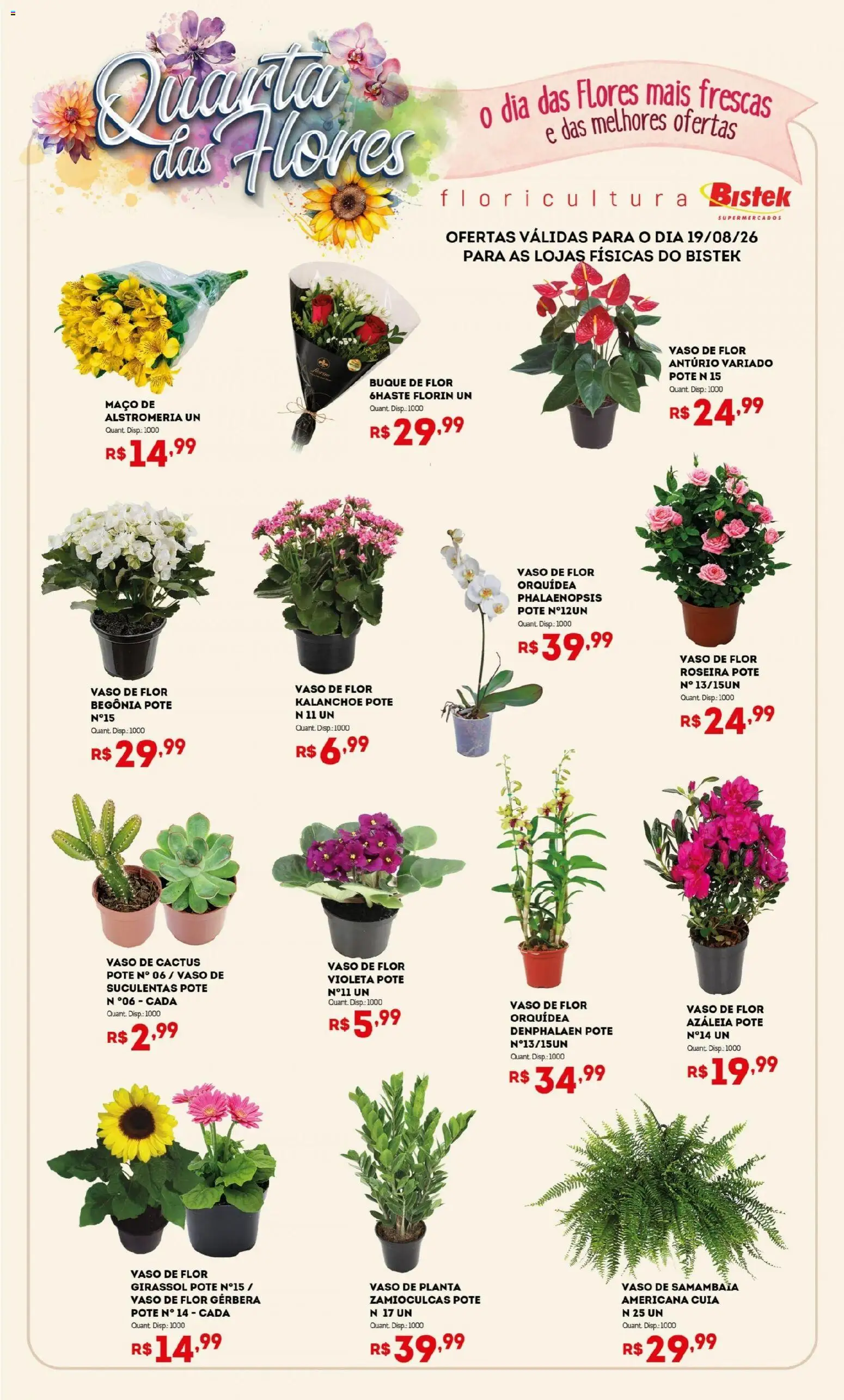 Bistek Supermercados Folheto - válido de 19/08/2026 | Página: 1 | Produtos: Denphalaen, Orquídea, Vaso, Gerbera