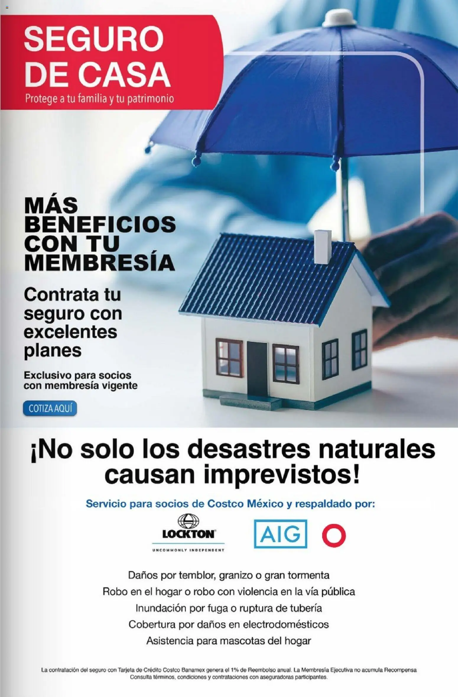 Nuevas ofertas de Costco válidas en toda la República Mexicana desde el 01.03.2026. ¡Encuentra las mejores ofertas en Costco Revista de marzo! | Página: 3