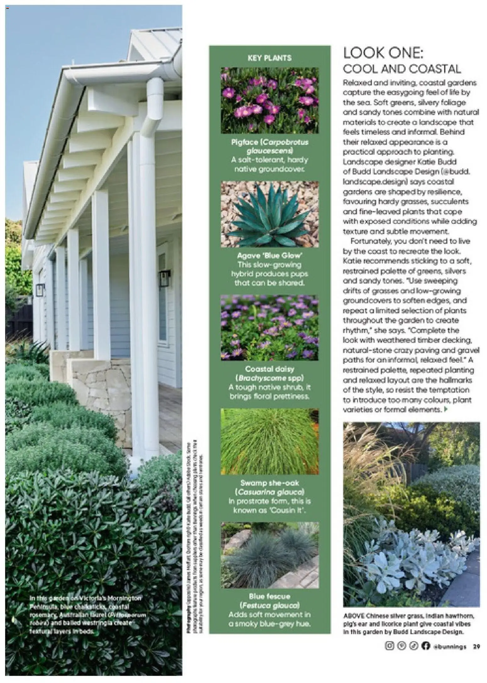 Bunnings Warehouse catalogue - valid from 01/09/2026 | Page: 29 | Products: Formal, Floral, Plant, Paving