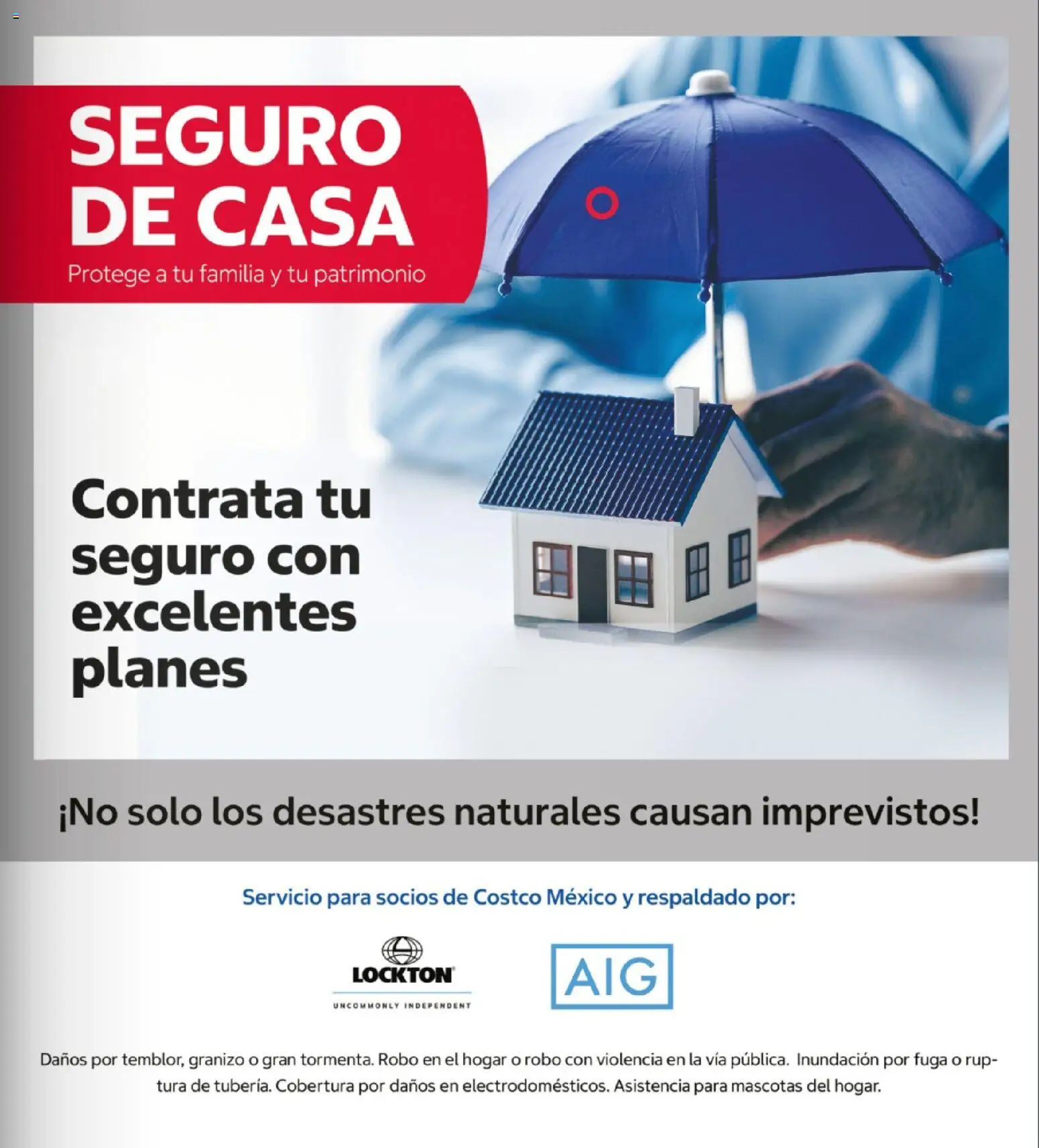 Nuevas ofertas de Costco válidas en toda la República Mexicana desde el 26/10/2026. ¡Encuentra las mejores ofertas en Costco catálogo Teasure Hunt! | Página: 15