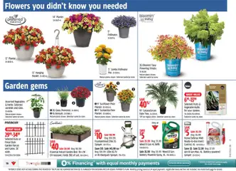 Preview of Canadian Tire weekly flyer from shop Canadian Tire valid from 28.05.2026 | Page: 15
