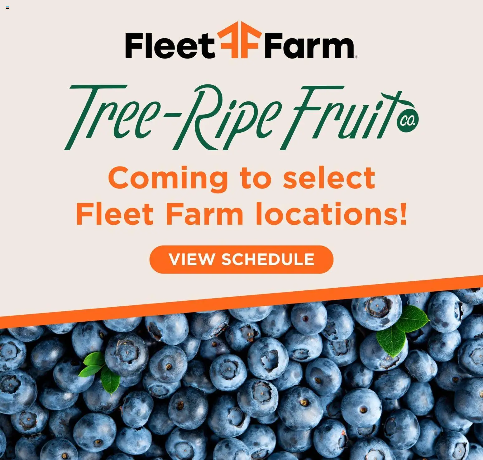 Mills Fleet Farm Weekly Ad - valid from 08.06.2026 | Page: 13