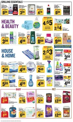 Preview of Food Lion weekly ads valid from 06/24/2026 | Page: 13 | Products: Dog Food, Powder, Shave Gel, Lighter