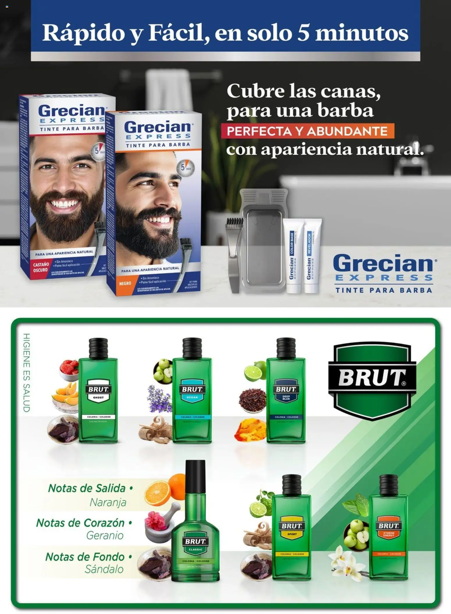 Nuevas ofertas de Chedraui válidas en toda la República Mexicana desde el 04.05.2026. ¡Encuentra las mejores ofertas en Chedraui folleto! | Página: 75 | Productos: Peine