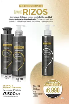 Vista previa Amodil - Campaña 10 válido desde el 01/06/2026 | Página: 93