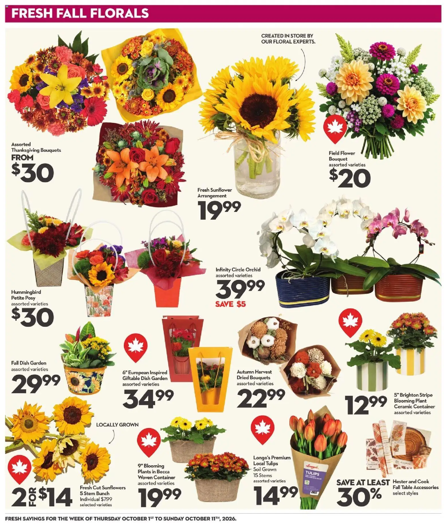 Longo's flyer valid from Oct 1, 2026 | Page: 17 | Products: Sunflower, Orchid, Table, Soil