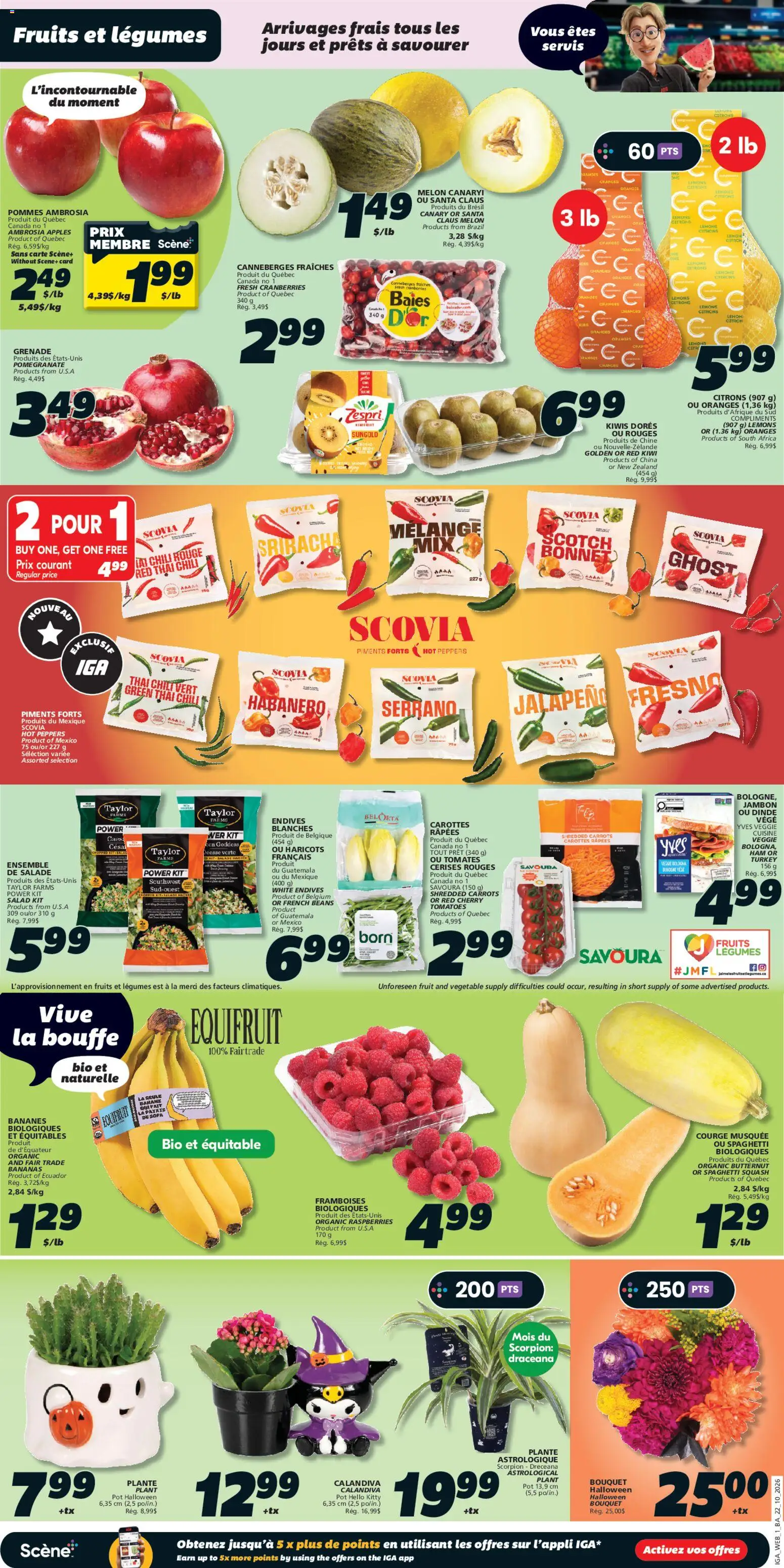 IGA flyer valid from Oct 22, 2026 | Page: 3
