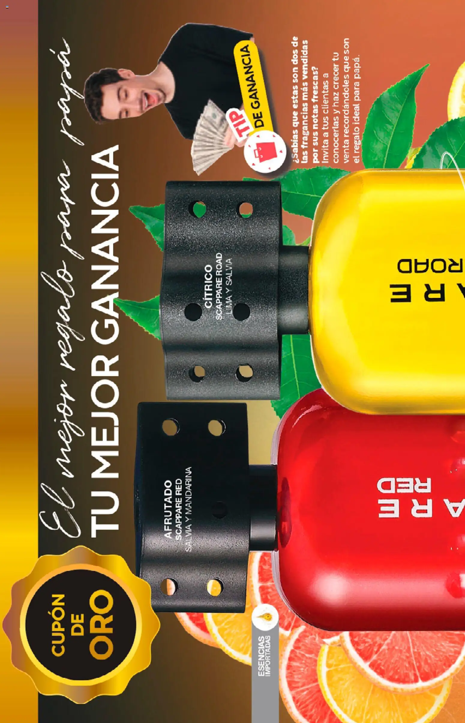 Nuevas ofertas de Fuller válidas en toda la República Mexicana desde el 13.05.2026. ¡Encuentra las mejores ofertas en Fuller Gana Más 3 2026! | Página: 12