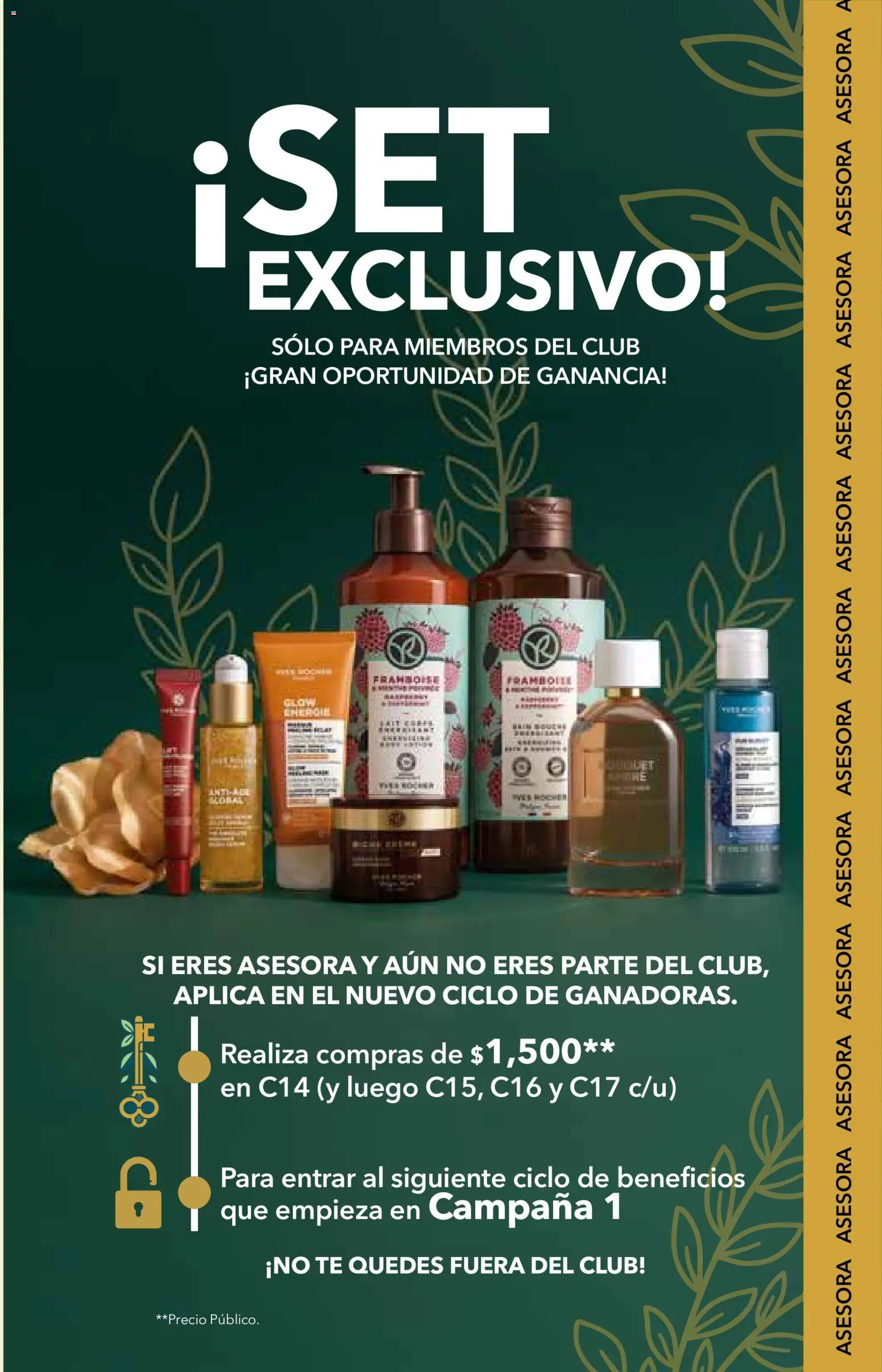 Nuevas ofertas de Yves Rocher válidas en toda la República Mexicana desde el 25/08/2026. ¡Encuentra las mejores ofertas en Yves Rocher campaña 12 2026! | Página: 105 | Productos: Té, Campana