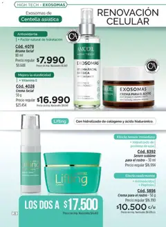 Vista previa Catálogo Amodil Campaña 14 válido desde el 07/08/2026 | Página: 26 | Productos: Celular, Serum, Proteína, Bruma