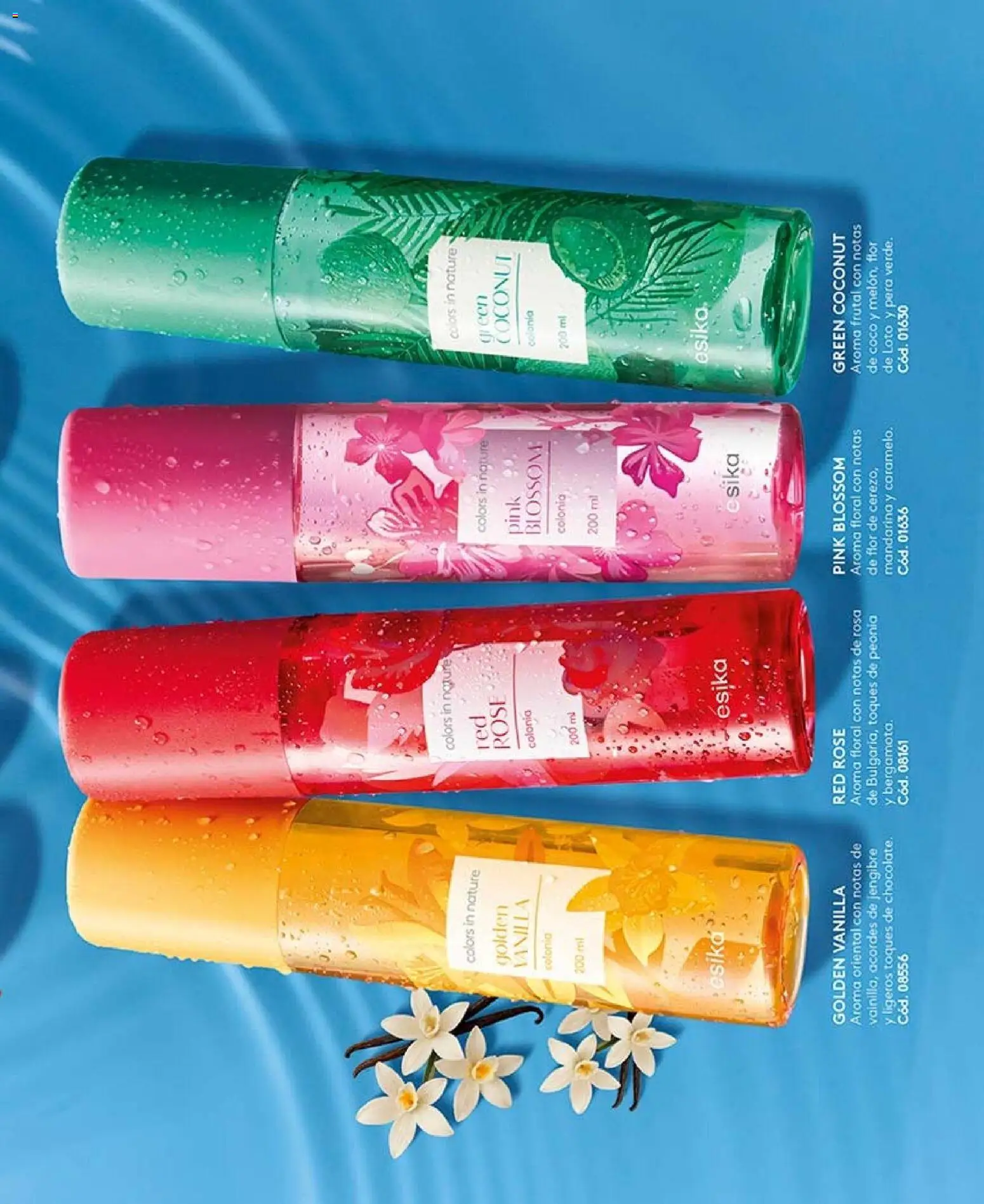 Catálogo Ésika Campaña 12 │ válido desde el 06.07.2026 | Página: 25 | Productos: Jengibre, Pera