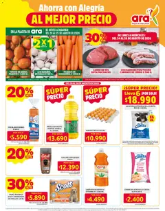 Ara catálogo -  Vista previa de la revista de la tienda Ara valido desde el 20/08/2026