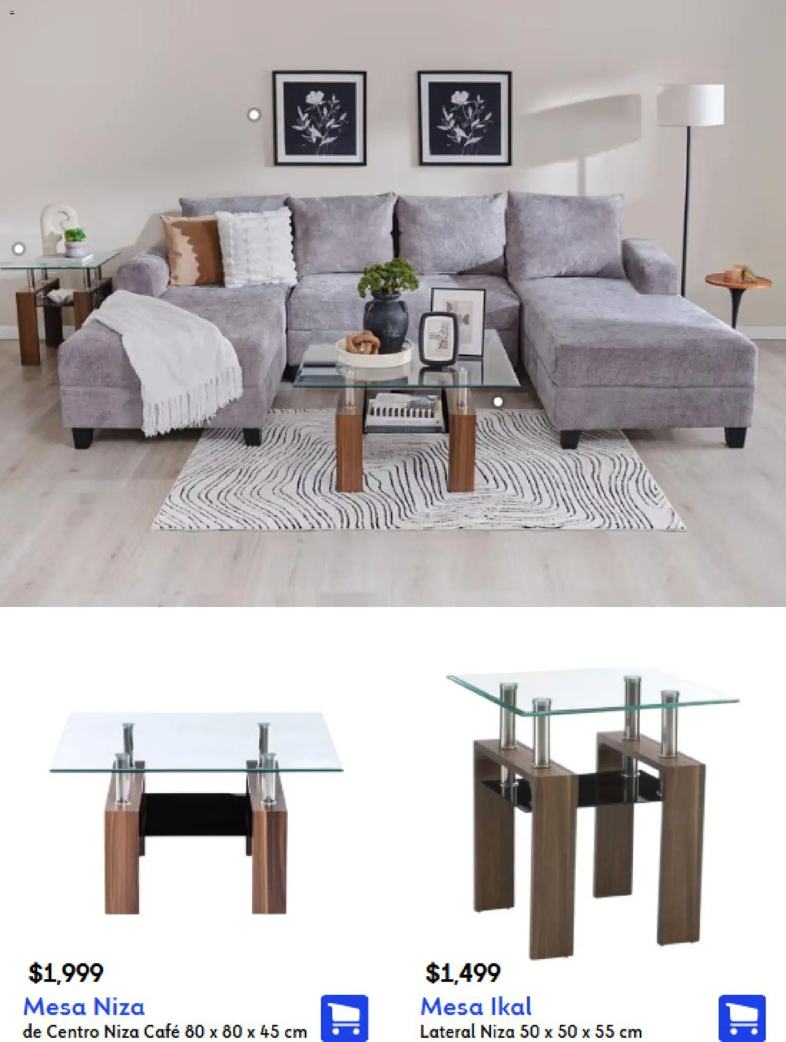 Coppel catálogo │ válido desde el 01/09/2026 | Página: 10 | Productos: Mesa, Café