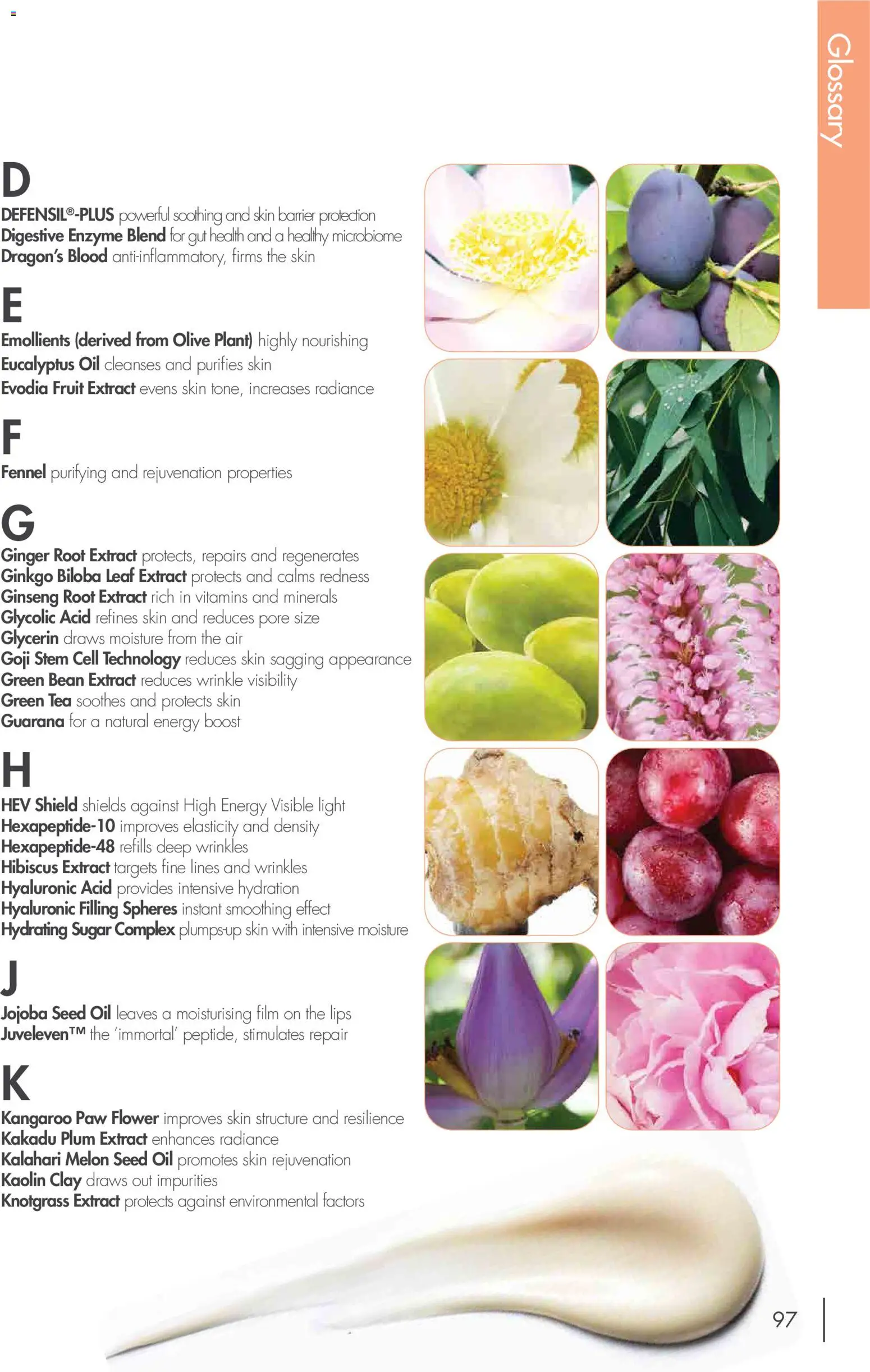 Nutrimetics catalogue - valid from 01/01/2026 | Page: 97 | Products: Plant, Ginger, Green tea, Fruit
