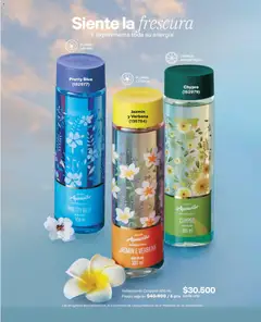 Avon catálogo Ciclo 8 -  Vista previa de la revista de la tienda Avon valido desde el 15.06.2026 | Página: 93 | Productos: Body
