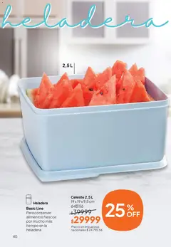 Vista previa Tupperware Folleto válido desde el 28.04.2026 | Página: 41 | Productos: Heladera
