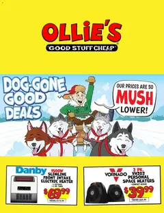 Preview of Ollie's weekly ads valid from 10/17/2026