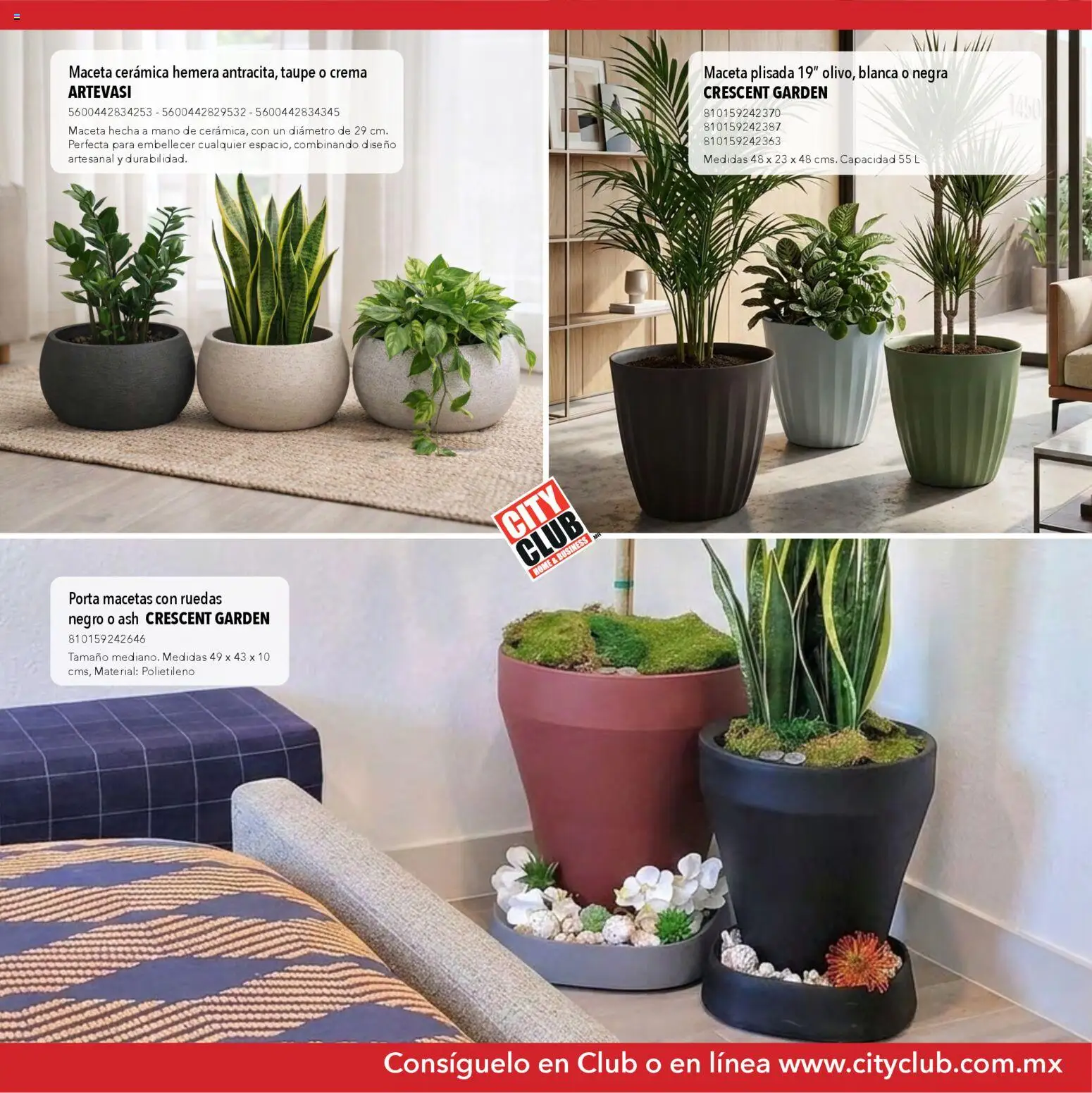 Nuevas ofertas de City Club válidas en toda la República Mexicana desde el 13.03.2026. ¡Encuentra las mejores ofertas en City Club Catálogo de muebles! | Página: 15 | Productos: Crema, Maceta, Porta macetas