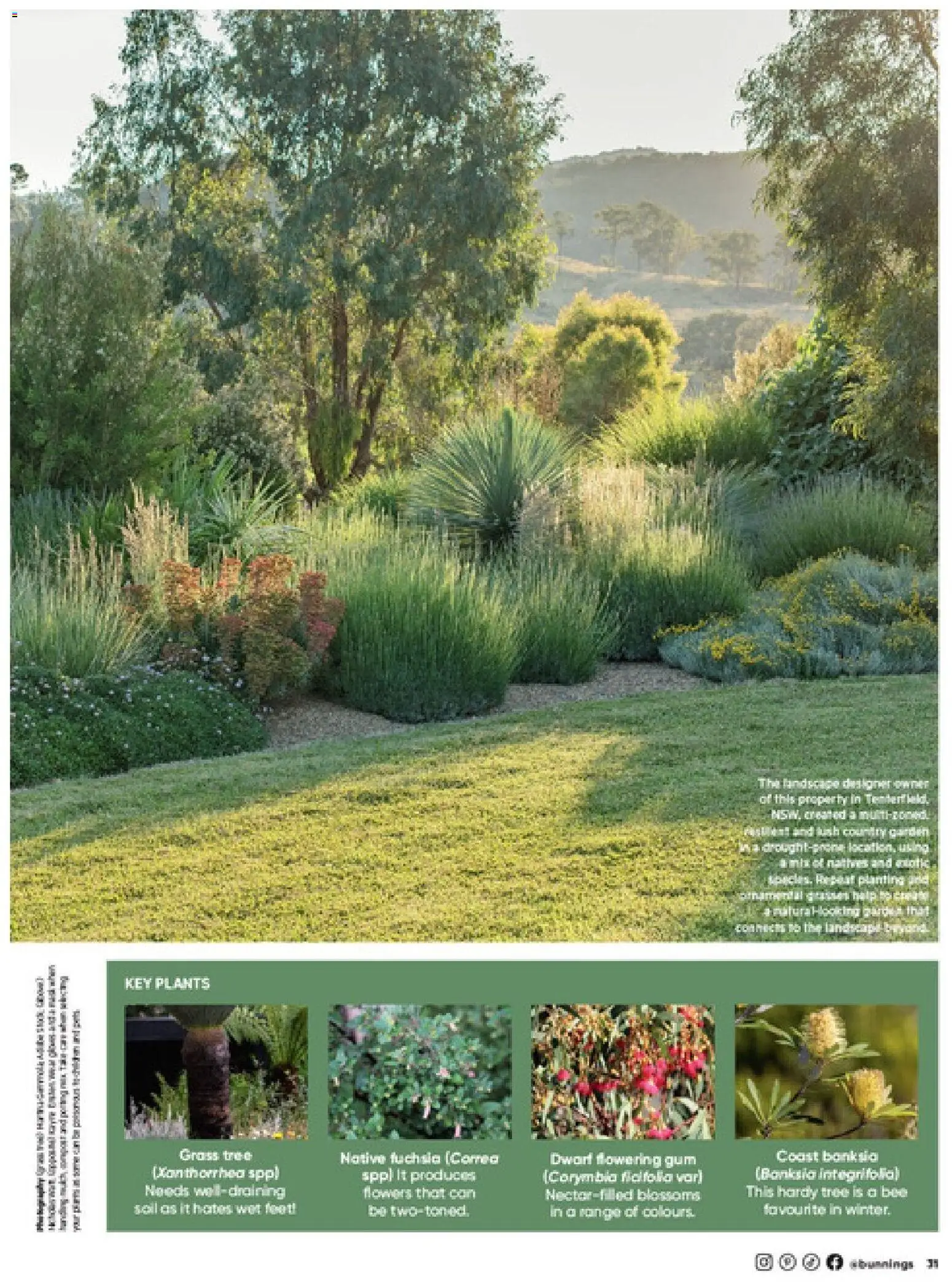 Bunnings Warehouse catalogue - valid from 01/09/2026 | Page: 31 | Products: Bath, Grass, Native, Landscape