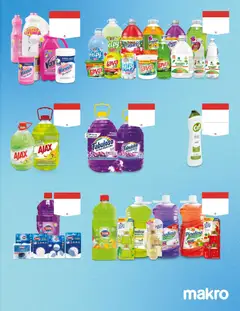 Makro catálogo -  Vista previa de la revista de la tienda Makro valido desde el 08.05.2026 | Página: 15 | Productos: Pasta, Limpiador, Vinagre, Desinfectante