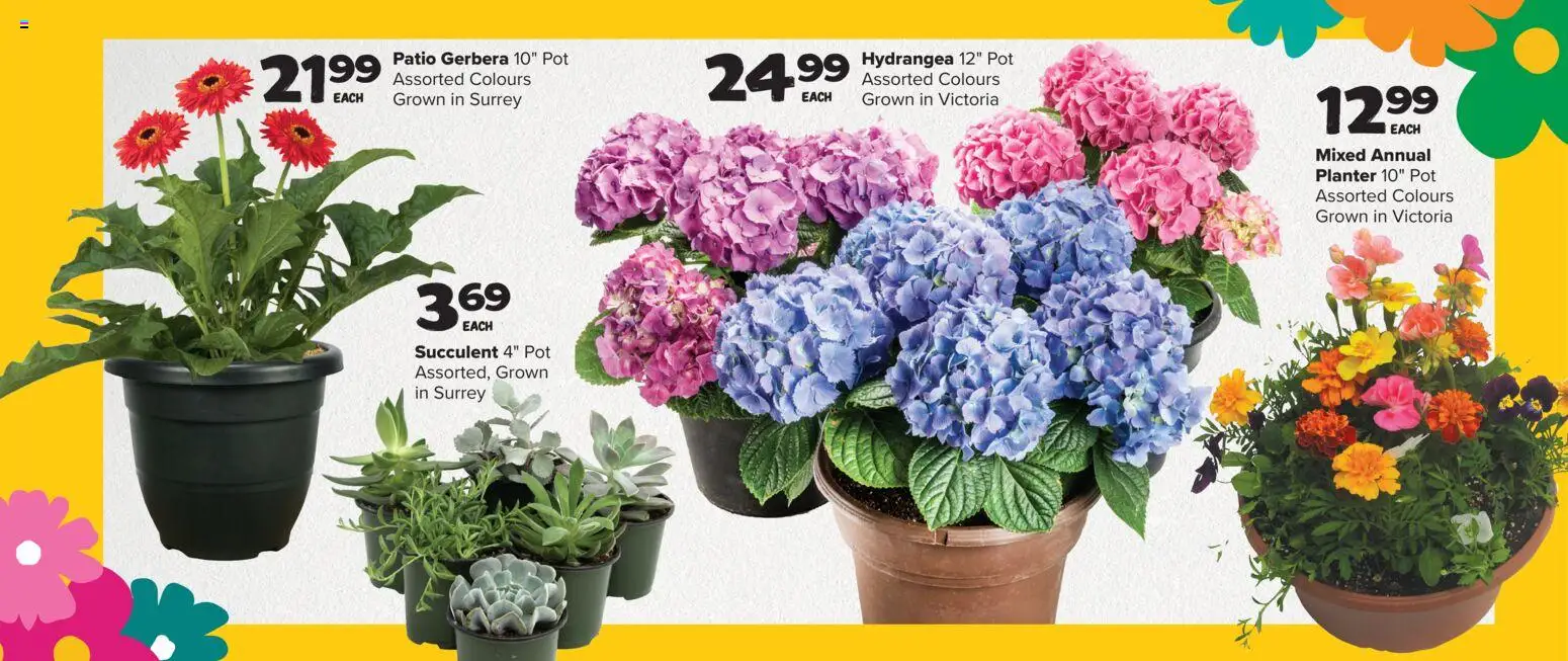 Thrifty Foods flyer valid from 21.05.2026 | Page: 11